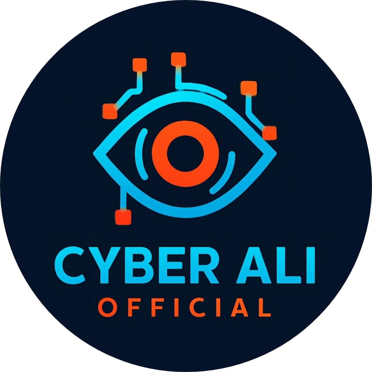 Cyber Ali Store